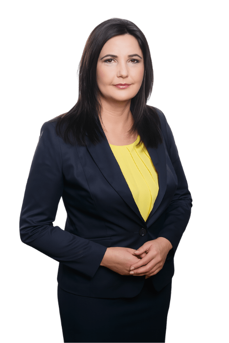 SK-Gabika-AI-remakeV2